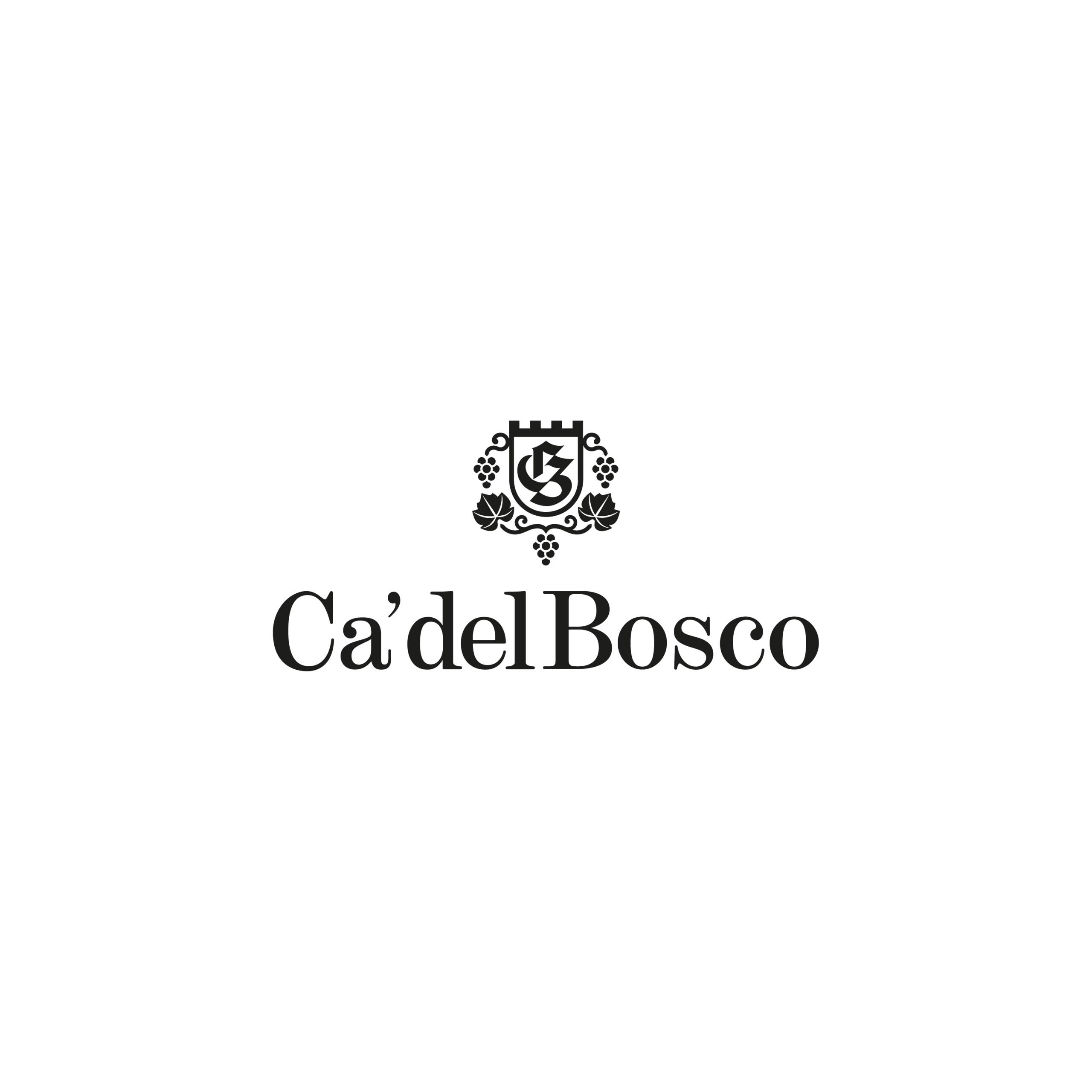 loghi-06